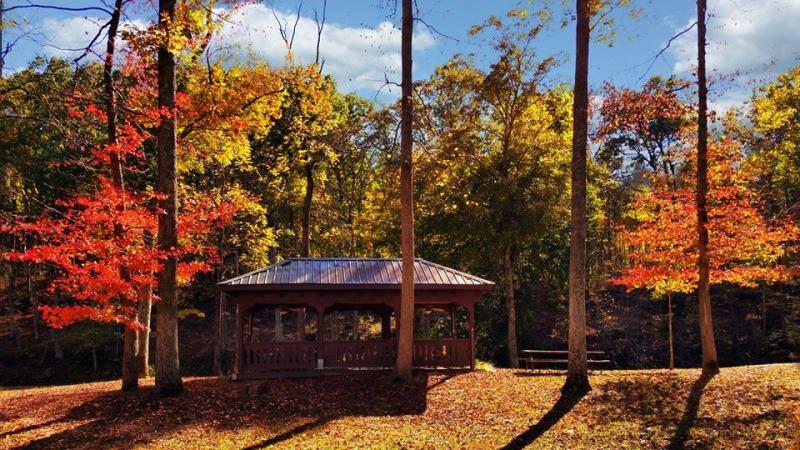 Gazebo Gazebo