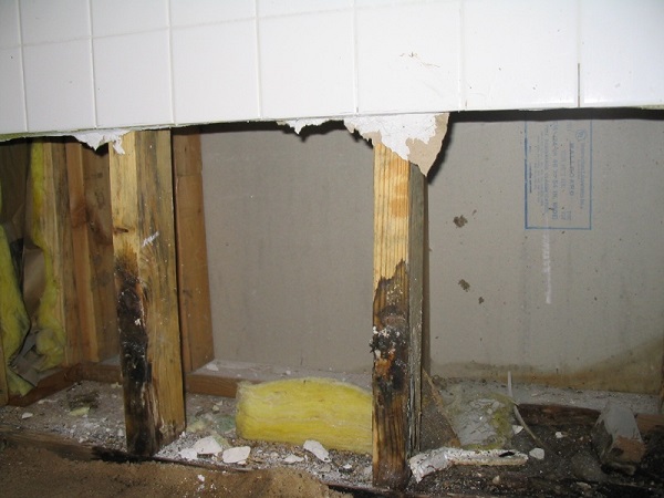15 Things Homeowners Insurance Doesn't Cover