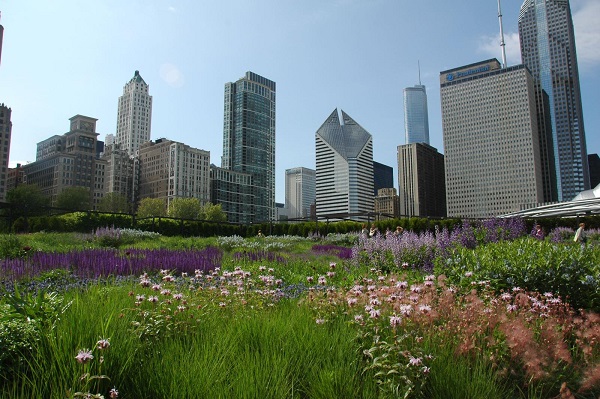 10 Ways Buying A House In Chicago Is Different Than Anywhere Else