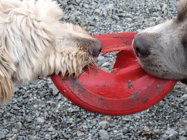 10 Surprises You Don't Want After Buying A House