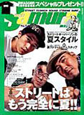 Small Image
