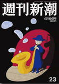 Small Image