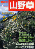 Small Image