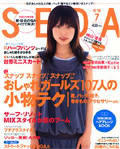 Small Image