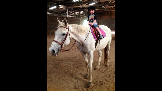Help Diesel get to Red Clay!!!!