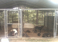 Help my pets get food and vetting