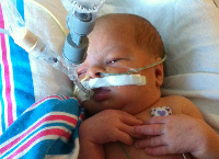 Help Give Winry and Her Family a Fighting Chance