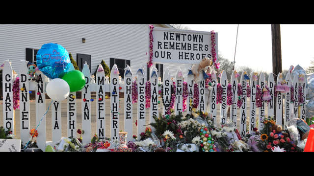 Yogi's Newtown Angels