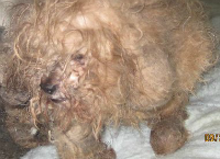 Emergency Medical Funds Needed