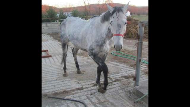 Help us get this beauty to a new home
