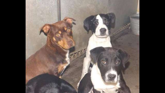 MARTIN, MARLOW & MERLIN