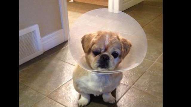 Help with Ray's urgent eye surgery