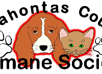 Safe Haven Animal Shelter