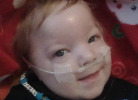 Noah's Alphabet Fund