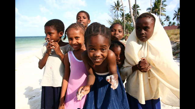 Eine Kuh für Zanzibar