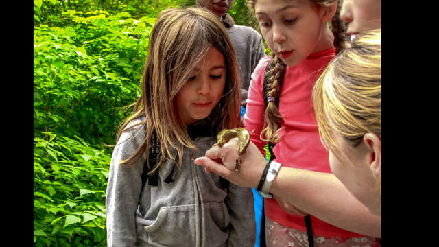 Help Send Inner City Kids to Camp in Stanley Park