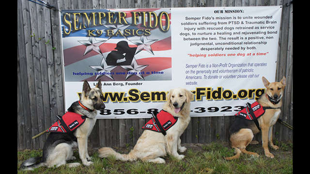 Semper Fido (K9 Basics)-Service Dogs For Veterans
