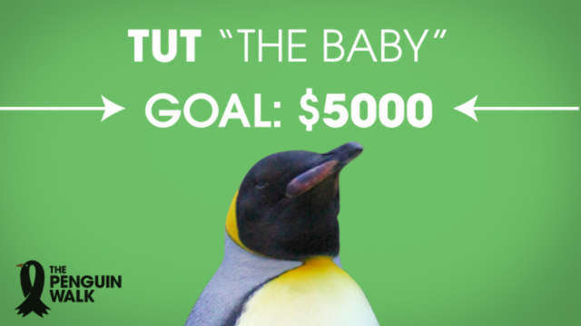 Tut – “The Baby”