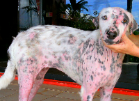 HOPE NEED TREATMENT AGAIN pls HELP