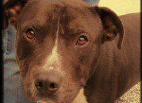 SAVING DUKE FROM DEATH ROW
