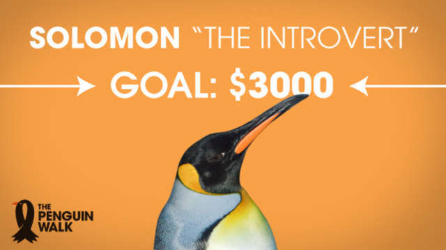Solomon – “The Introvert”