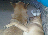 Mom and Sons Were Dumped :-(