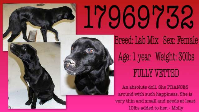 Help Lilly as we try to help her beat this!