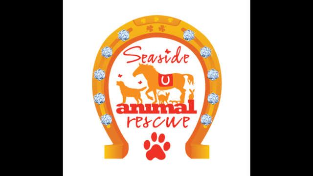 Raising Funds for Vet Needs/Spay/Neuter/Dogfood