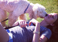 Psychiatric Service Dog