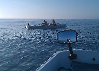 Catalina row for Heal the Bay