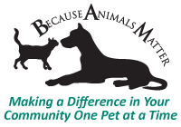 Make a Difference with Every Donation