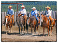 Cowpickers-a12x16