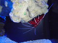 P8110601_thumb