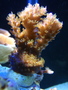 P8230768_thumb