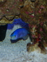 P9261049_thumb