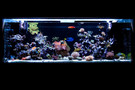 561574092_mmn4e-xl_thumb