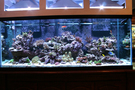 210_tank_02_thumb