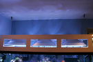 210_tank_03_thumb