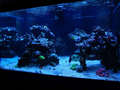 Fts003_thumb