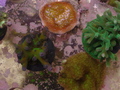 Dsc01369_thumb