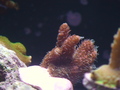 Dsc01550_thumb