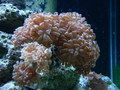 063_thumb
