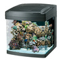 Biocube14_thumb
