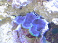 Img_0276_thumb