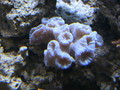 Img_0279_thumb