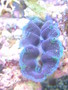 Img_0221_thumb
