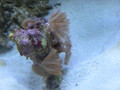 Img_0313_thumb