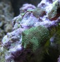 Img_0317_thumb