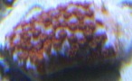 Img_0319_thumb