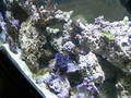 Img_0328_thumb